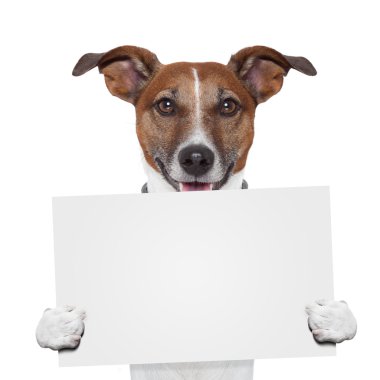 yer tutucu afiş köpek