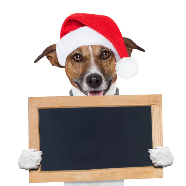 Christmas banner placeholder dog — Stock Photo, Image