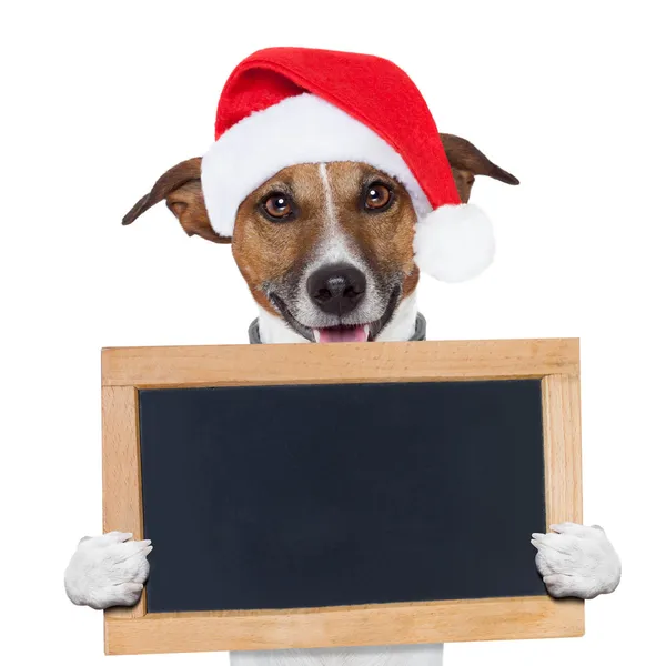 Banner de Natal placeholder cão — Fotografia de Stock