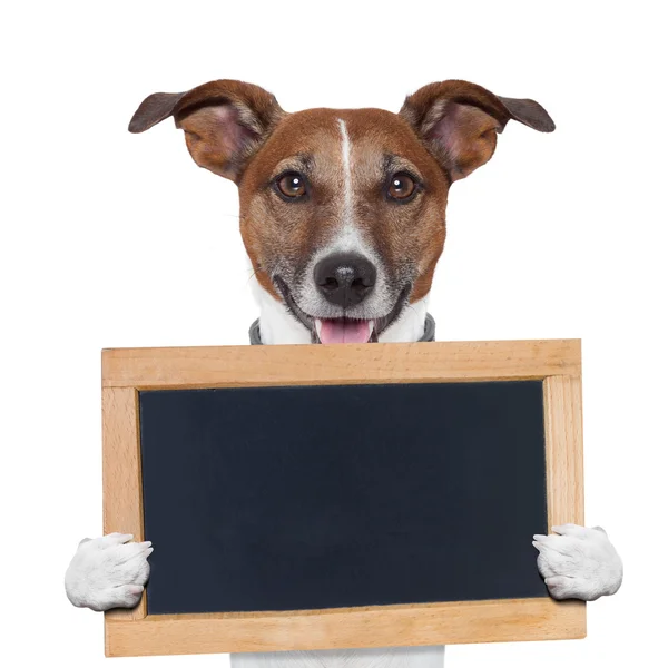 Placeholder banner perro —  Fotos de Stock