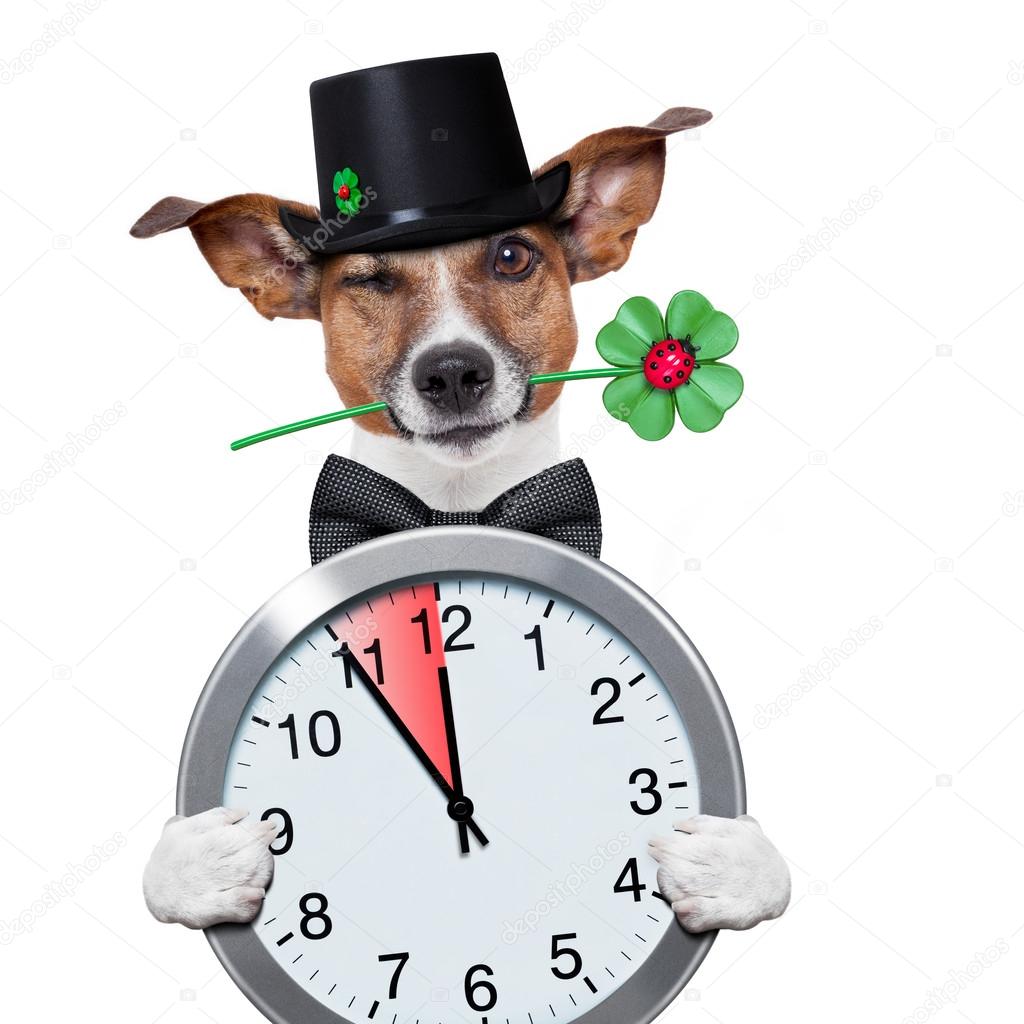 Chimney sweeper dog watch clock