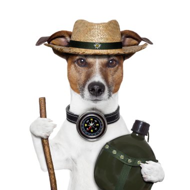 Hike compass hat dog clipart
