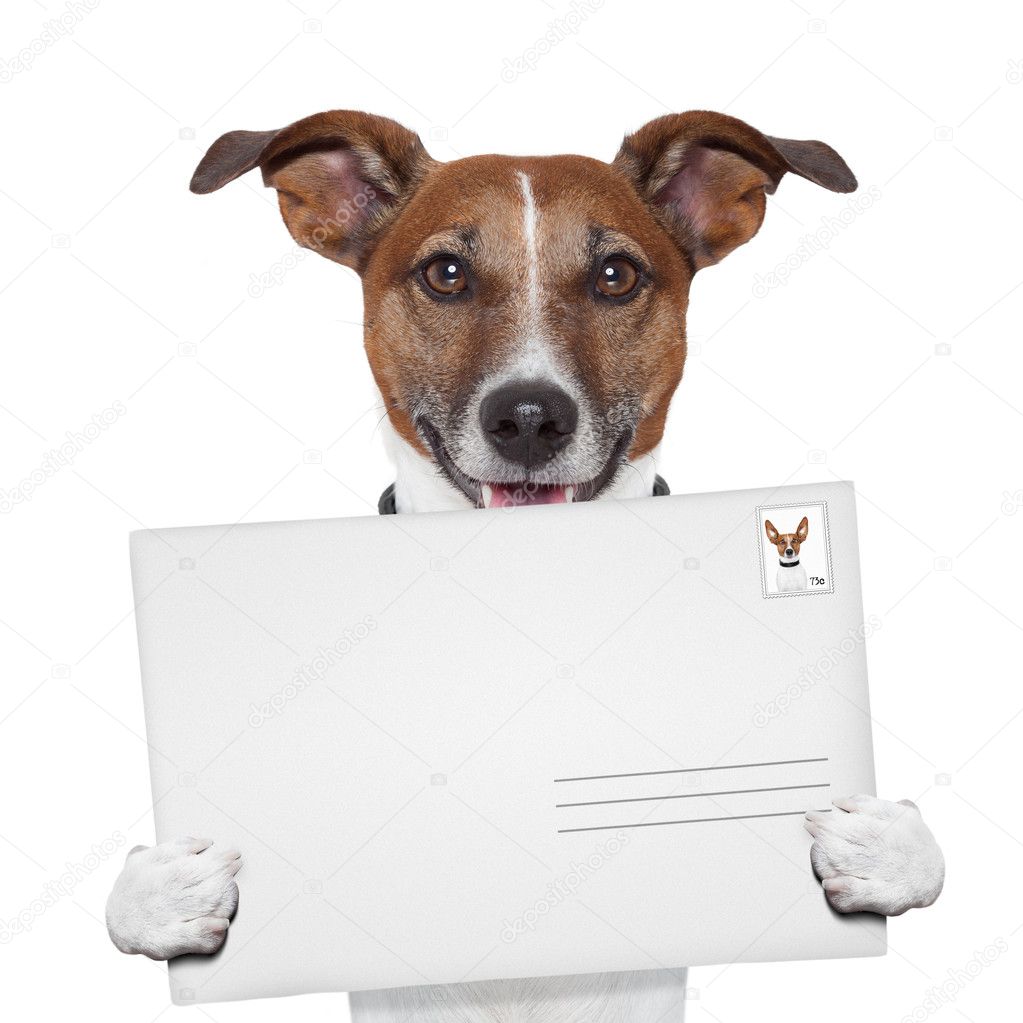 Post envelope mail stamp dog