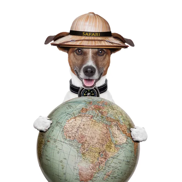 Viagem globo bússola cão safári explorador — Fotografia de Stock