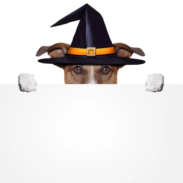 Halloween segnaposto banner cane — Foto Stock