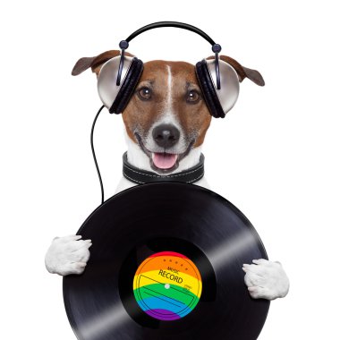 müzik kulaklık vinil plak köpek