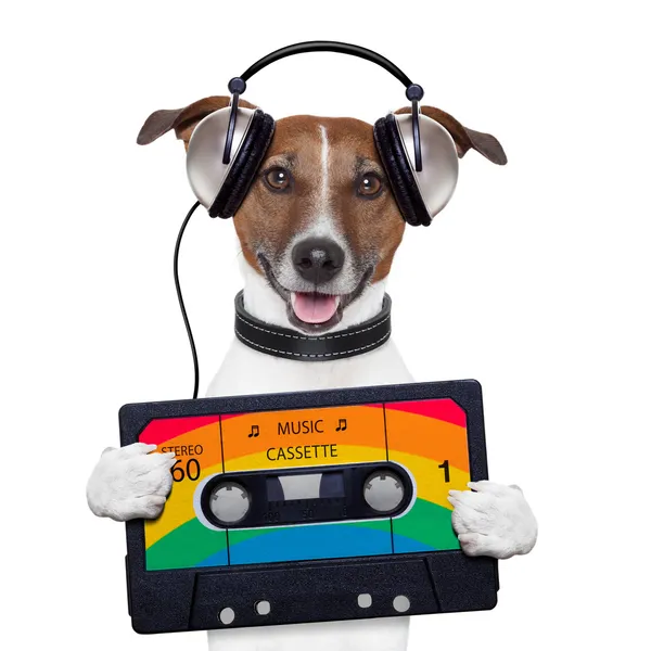 Müzik kaset kaset kulaklık köpek — Stok fotoğraf