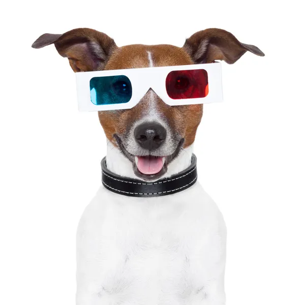 Кинособака в 3D очках — стоковое фото