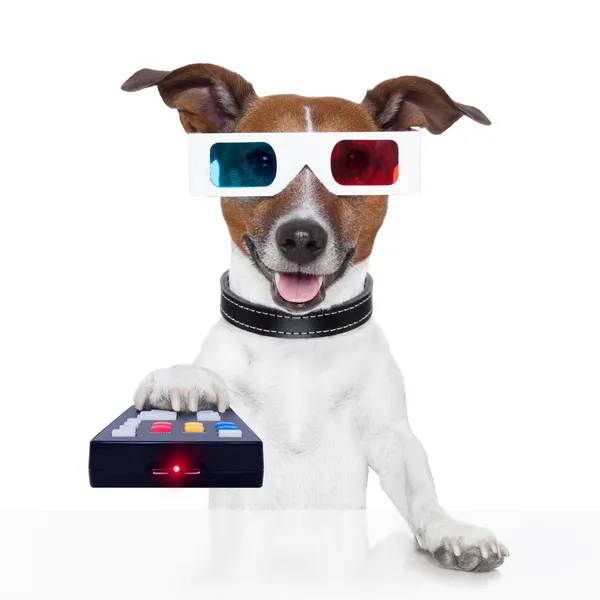 Fjärrkontroll 3d glasögon tv film hund — Stockfoto