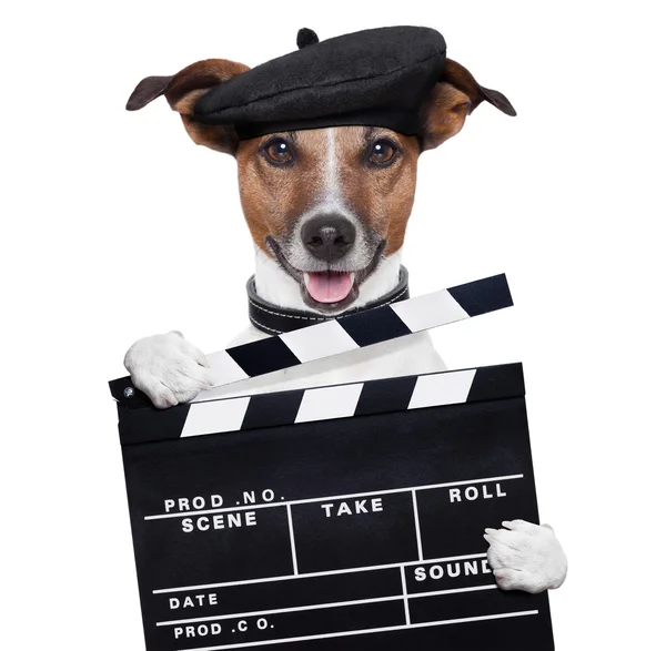 Movie clapper board director dog — Stock Photo, Image