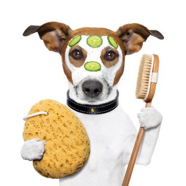Sağlık spa yıkama süngeri köpek