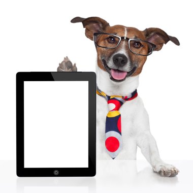 iş köpeği tablet pc ebook
