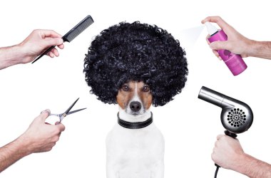 makas Kuaför köpek sprey tarak