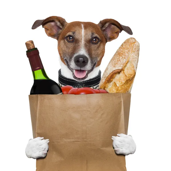 Kruidenier zak hond wijn tomaten brood — Stockfoto