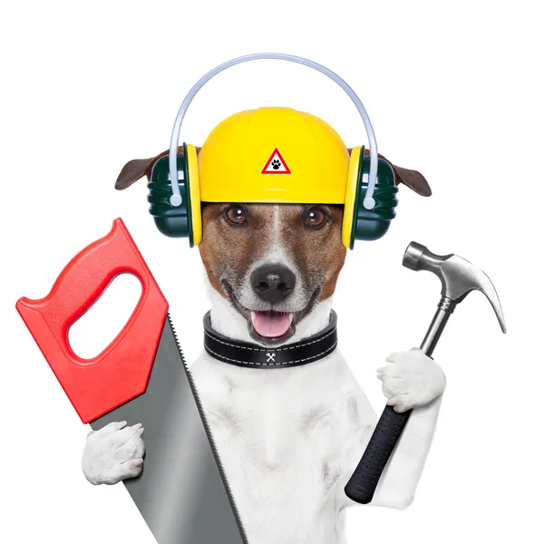 Handyman dog — Stock Photo, Image