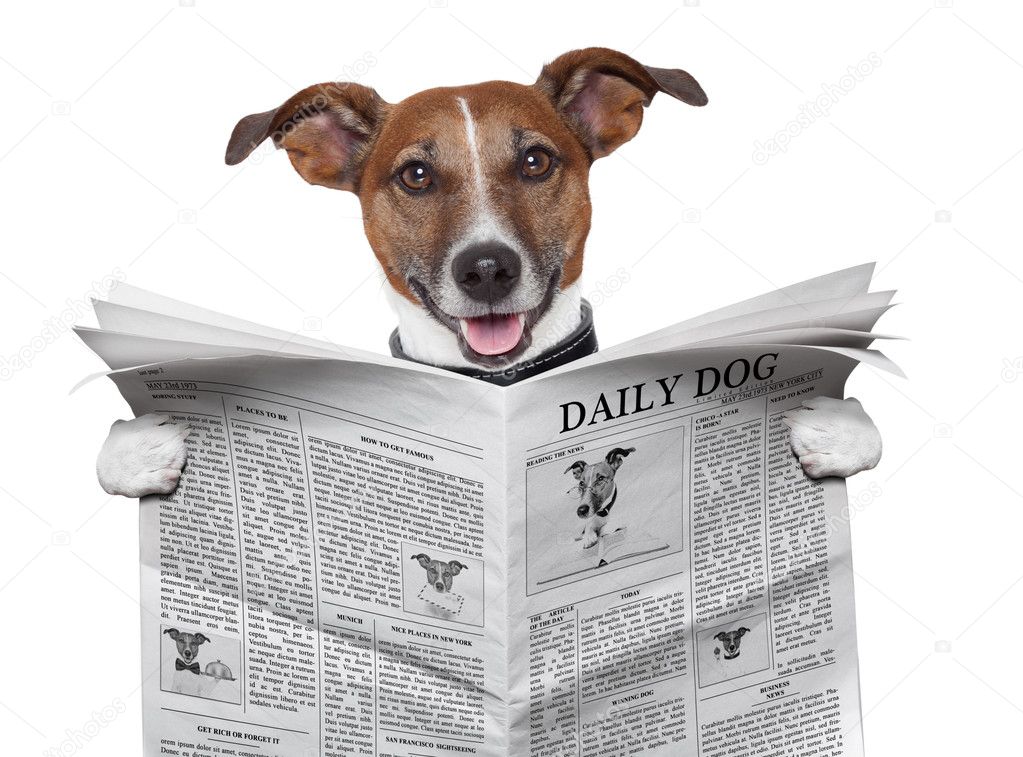 Dog newspaper