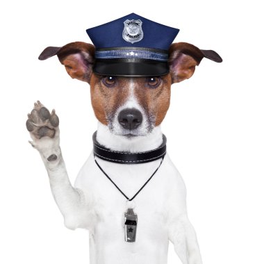 Polis Köpeği