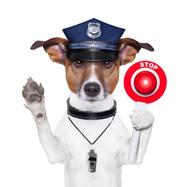 Polis Köpeği