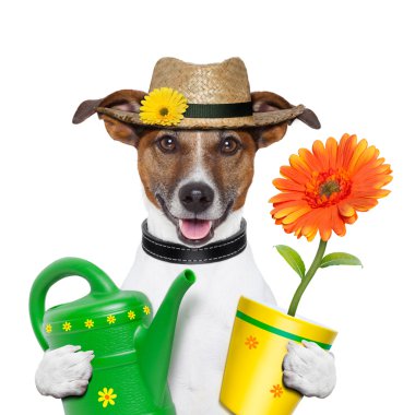 Dog gardener clipart