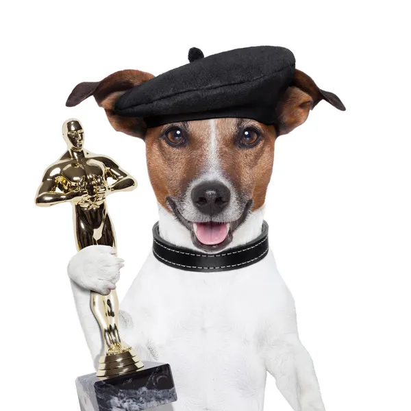 賞の勝者犬 — ストック写真