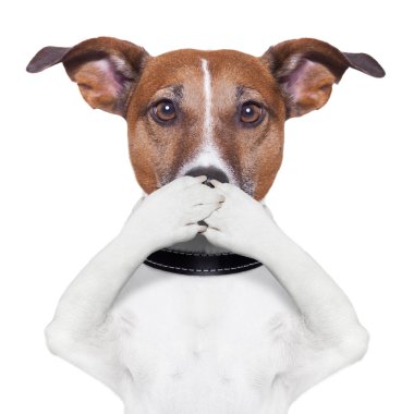 ağız köpek kapsayan