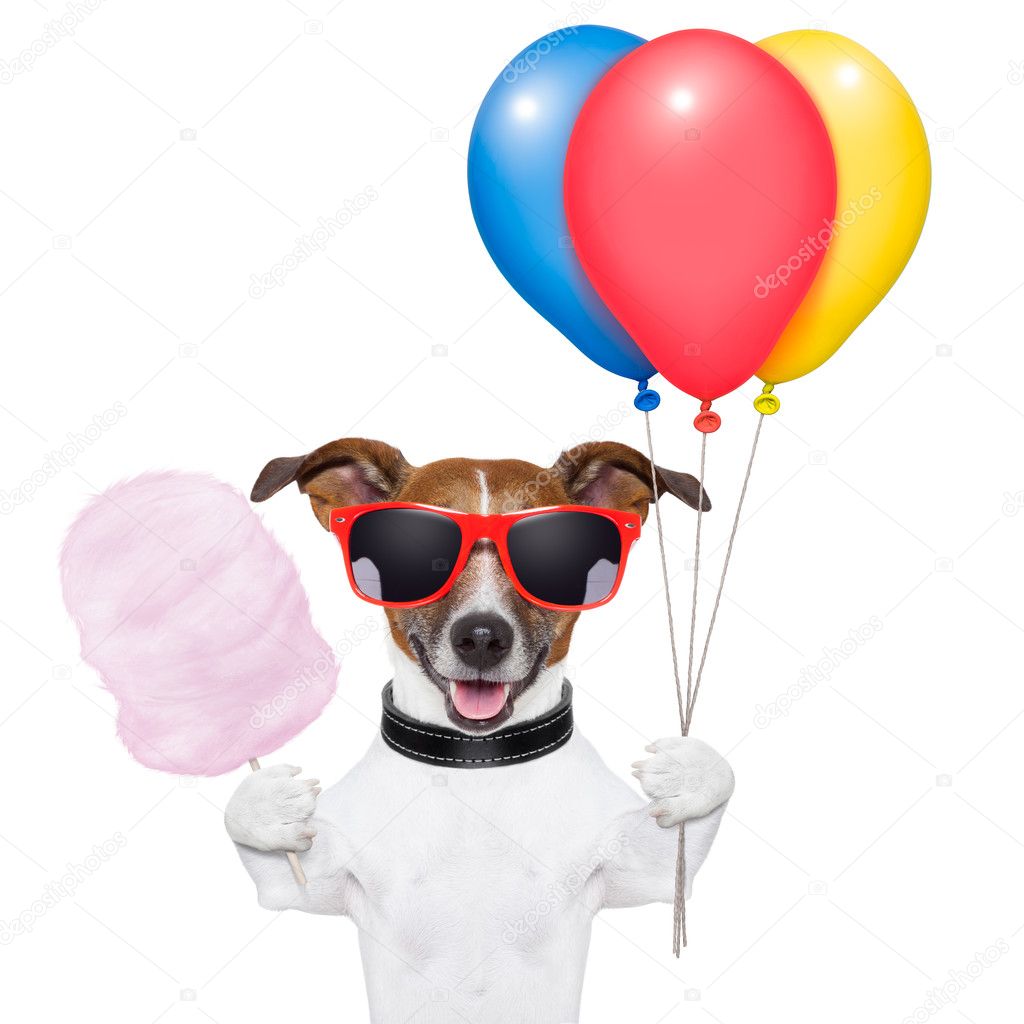 Dog balloons and cotton candy