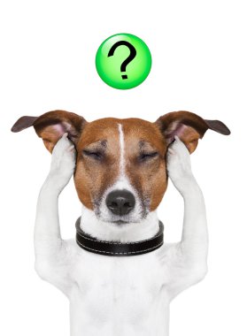 köpek soru işareti
