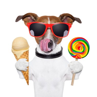 Sugar doggy