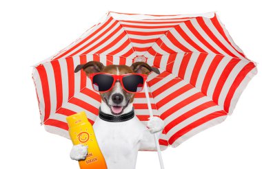 köpek yaz güneş kremi