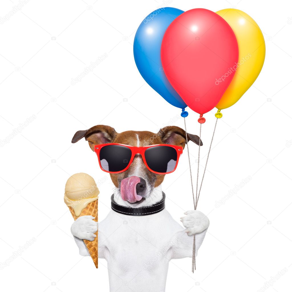 Dog with ice cream