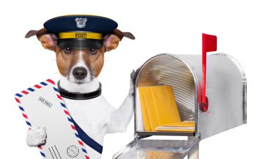 posta köpek