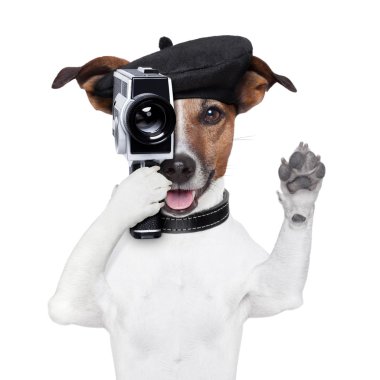 film yönetmeni köpek
