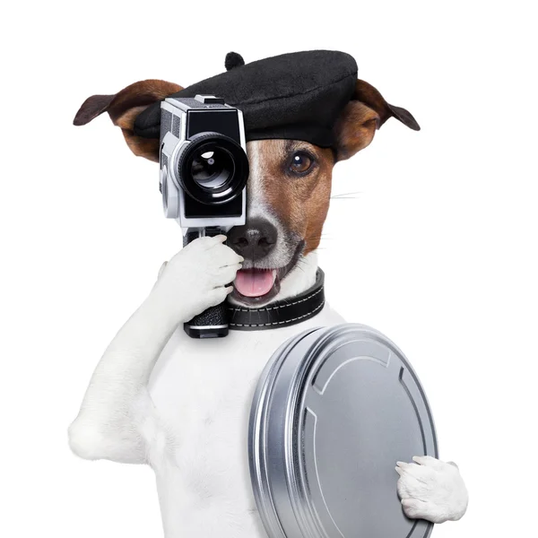 Film ředitele pes — Stock fotografie