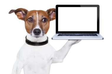 bilgisayar köpek