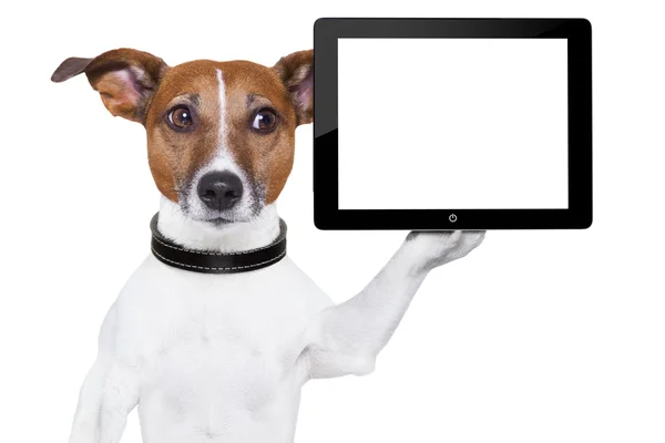 Tablet pc dog — Stock Photo, Image