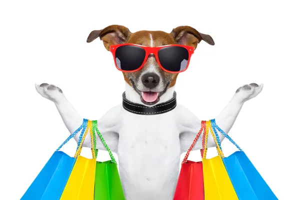 Perro de compras —  Fotos de Stock