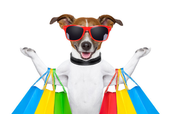 Perro de compras — Foto de Stock