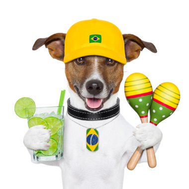 komik köpek Brezilya