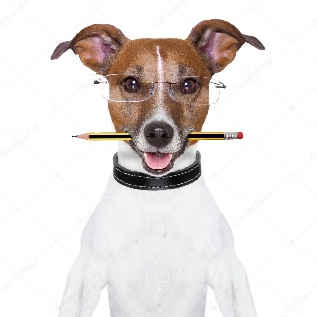 dog pencil