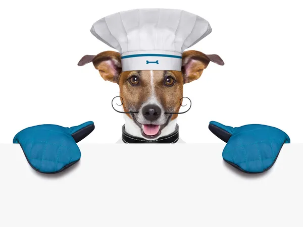 Chien cuisinier chef bannière — Photo