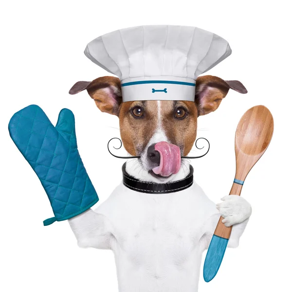 Hund cook kock — Stockfoto