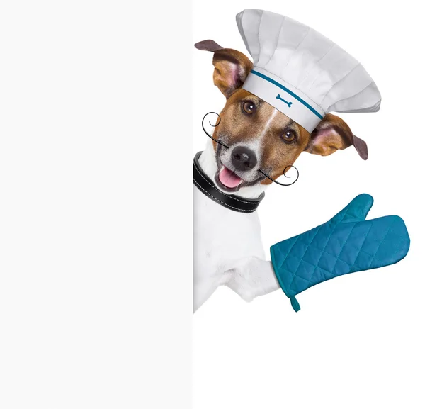 Dog cook chef banner — Stock Photo, Image