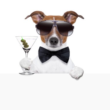 komik kokteyl köpek afiş