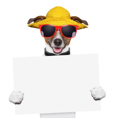 Yaz köpek afiş