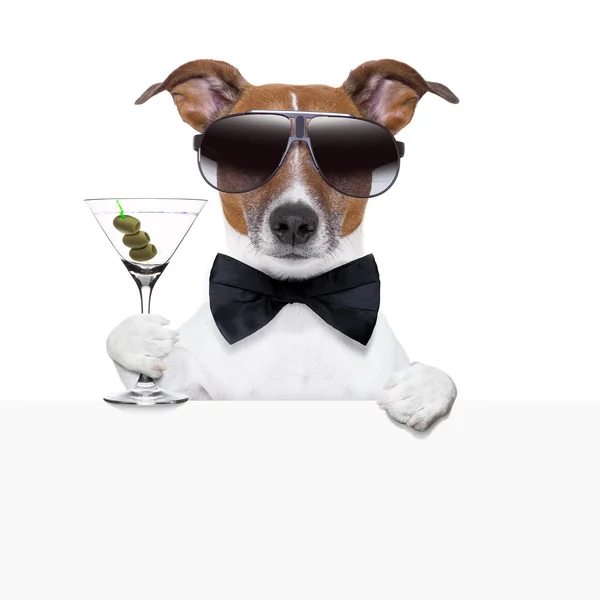 Grappige cocktail hond banner — Stockfoto