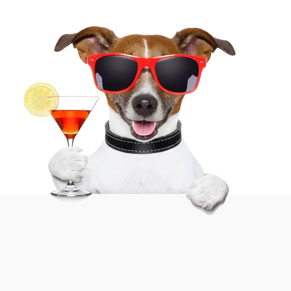 Funny cocktail dog banner — Stock Photo, Image