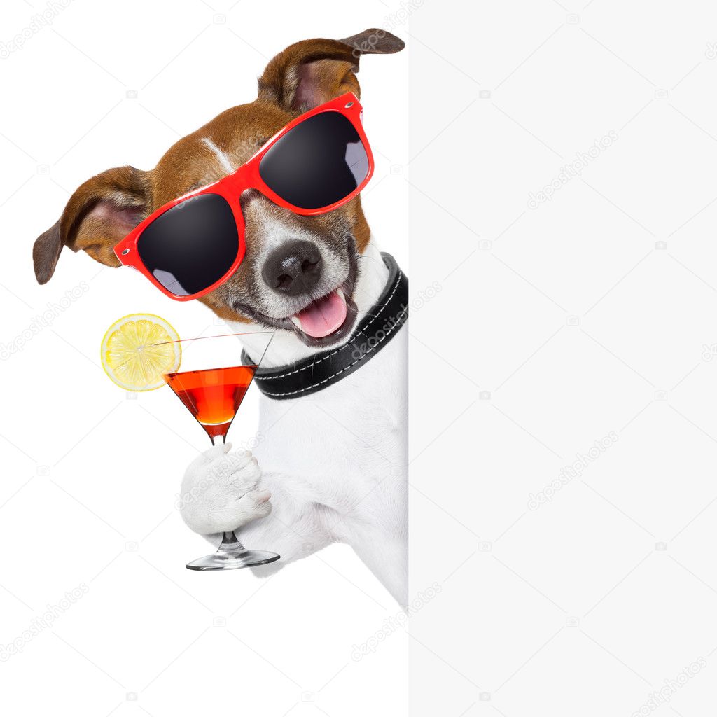 funny cocktail dog