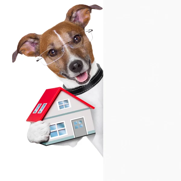 Banner dog home dan key — Stok Foto