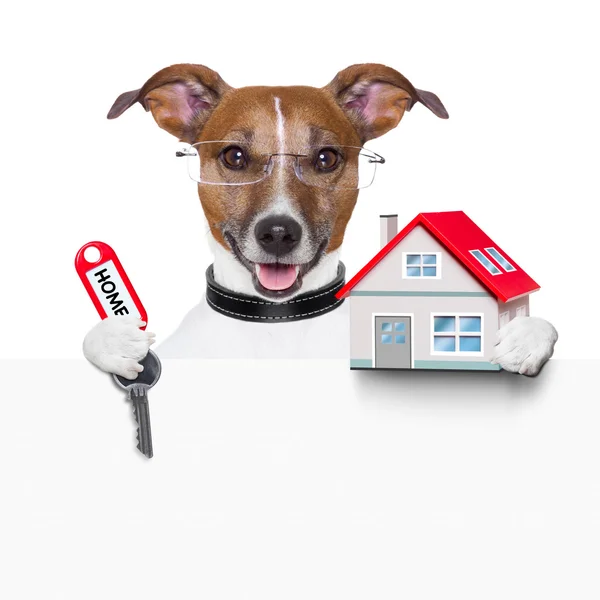 Banner hond huis en sleutel — Stockfoto