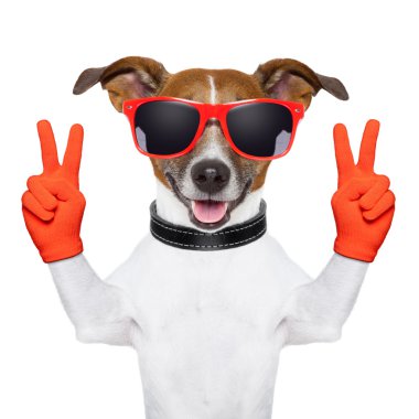 Barış ve zafer parmak köpek